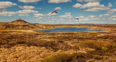 Wonderful Nature landscape of Iceland