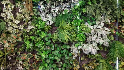 Vertical garden with various species of artificial trees.natural background