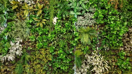 Vertical garden with various species of artificial trees.natural background