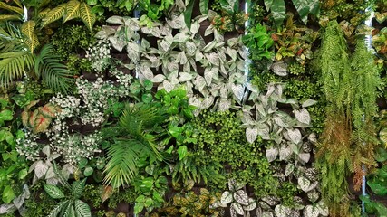 Vertical garden with various species of artificial trees.natural background