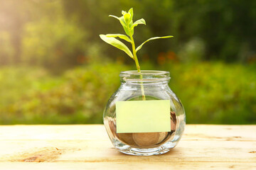 Glass jar with coins, on a wooden table, on a natural background. A sticker for writing.
