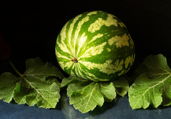 Striped watermelon with green sheet on black background