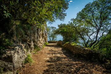 Path over the cliffs near the ocean