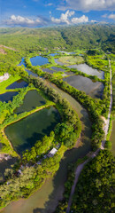 aerial view of rice field in Hong Kong