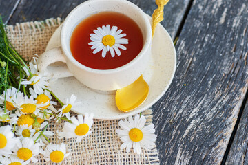 cup of herbal chamomile tea and daisy flowers. doctor treatment and prevention of immune concept, medicine - folk, alternative, complementary, traditional medicine