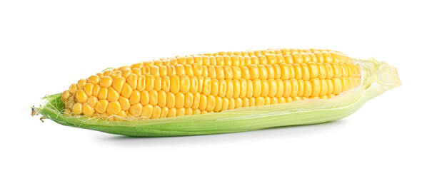 Fresh corn cob on white background