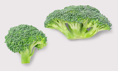 Broccoli on a white background