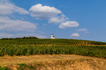 Landscape with vineyard, and small white chapel. 