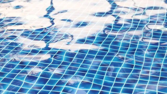 A pool with blue tile full of water. Sun glettering on water surface. Reflection of tree tops silhouettes.