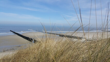 Buhnen auf Wangerooge