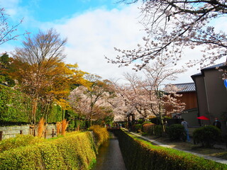 Philosophy road in TYOTO