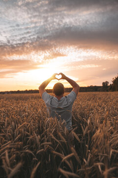 Vertical picture of adult farmer standing alone in middle of golden wheat field. Guy hold hands up and fingers in heart shape. Sunset and getting darker. Ripe season.
