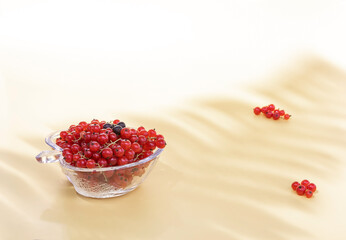 fresh red currant berries in a glass vase on a yellow background