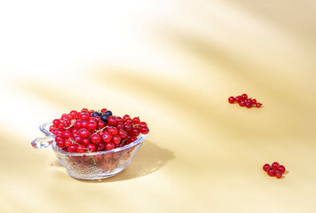 fresh red currant berries in a glass vase on a yellow background