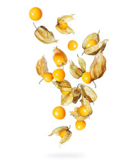 Physalis in the air isolated on a white background