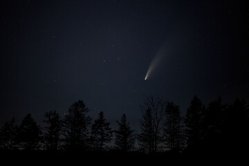 Fototapeta na wymiar Neowise comet across night shy over forest tree tops. July 17 2020