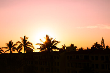 Fototapeta premium sunset over the city