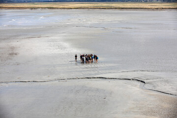 Group of hikers in the bay at low tide. Hike in the bay with a knowledgeable guide. Mont...