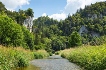 Fototapeta na wymiar Wildromantisches Oberes Donautal bei Fridingen im Landkreis Tuttlingen