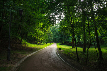 City public green park in summer, footpath on background of grass and trees lawn