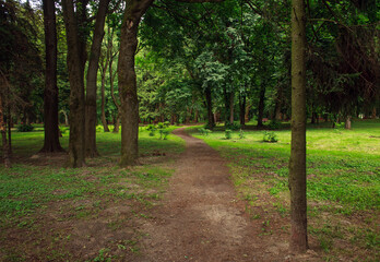 City public green park in summer, footpath on background of grass and trees lawn