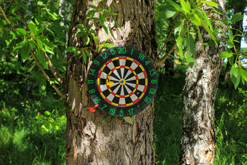 Target with the thrust darts on a tree in the Park. Outdoor recreation, activity, vacation concept.