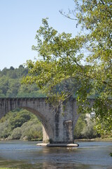 Fototapeta premium bridge over river in the forest