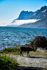 lake in the mountains © jacek