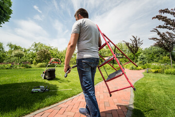 Professional gardener pruning a tree with garden scissors