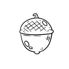 Hazelnut. Autumn harvest of wood. Natural food and a snack in a shell. Acorn. Drawn forest object. Sketck logo icon cartoon illustration