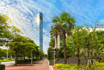 The Rinko Promenade roadside palm trees leading to the Chiba Port Tower covered with mirrors that reflect the sun and clouds in good weather in the port of Chiba.