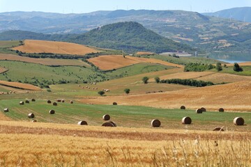 Cairano - Covoni nei campi di grano