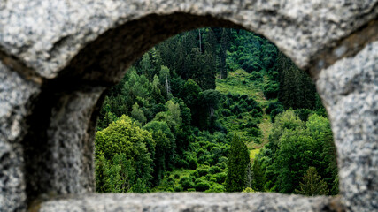 View of the forest from the stone window