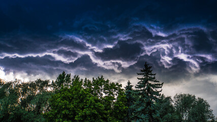 Purple storm clouds over the forest