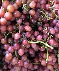 Fresh organic red grapes at a farm market stand displayed for sale 