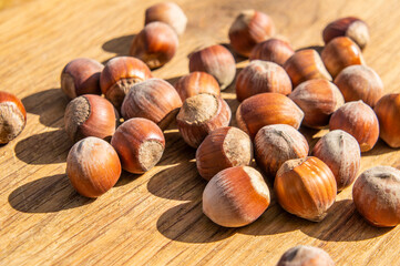 Large hazelnut lies on the board