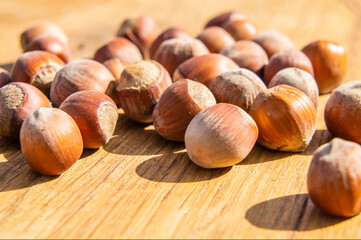 Large hazelnut lies on the board