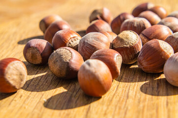Large hazelnut lies on the board