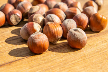 Large hazelnut lies on the board