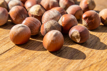 Large hazelnut lies on the board