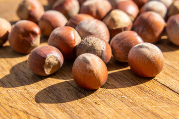 Large hazelnut lies on the board