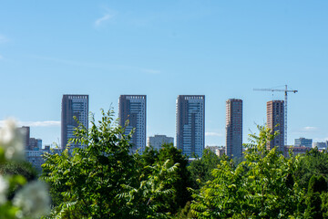 Fototapeta premium View of city high-rises through the greenery of the Park