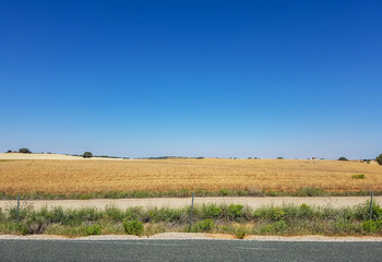 Obraz premium Landscape countryside with sown