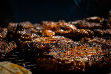 grilled meat on the grill