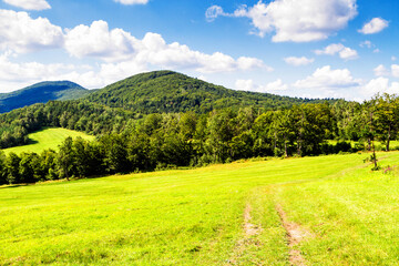 Mountains scenery. Panorama of grassland and forest in Beskid Niski mountains. Carpathian mountains landscape, Poland. - obrazy, fototapety, plakaty