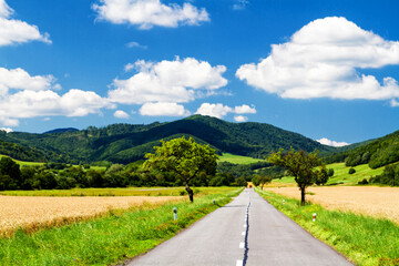Panoramic view of a road leading through Beskid Niski mountains at the border of Poland and Slovakia - obrazy, fototapety, plakaty