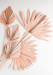 Beauty dried palm leaves on pastel grey background. Nature tropical concept, copy space, flat lay.