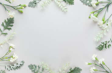 White flowers of Carnation and silver-green leaves of Senecio cineraria on pastel grey background. Flowers composition with copy space, flat lay