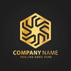 Abstract Golden Hexagonal Logos Design Vector Illustration Template - Copy