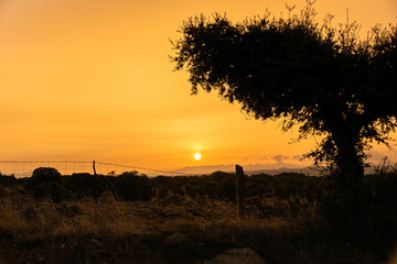 Sunrise on the Castilian plateau